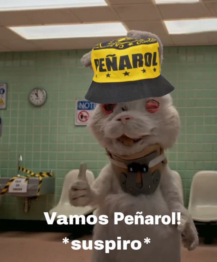 ¡HOY JUEGA PEÑAROL!