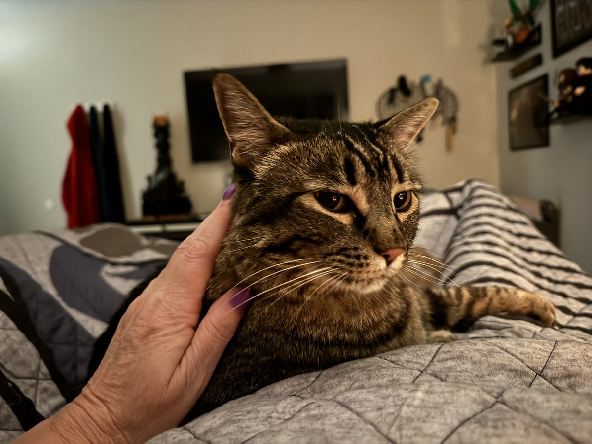 H - Insert blue checkmark here tweet media