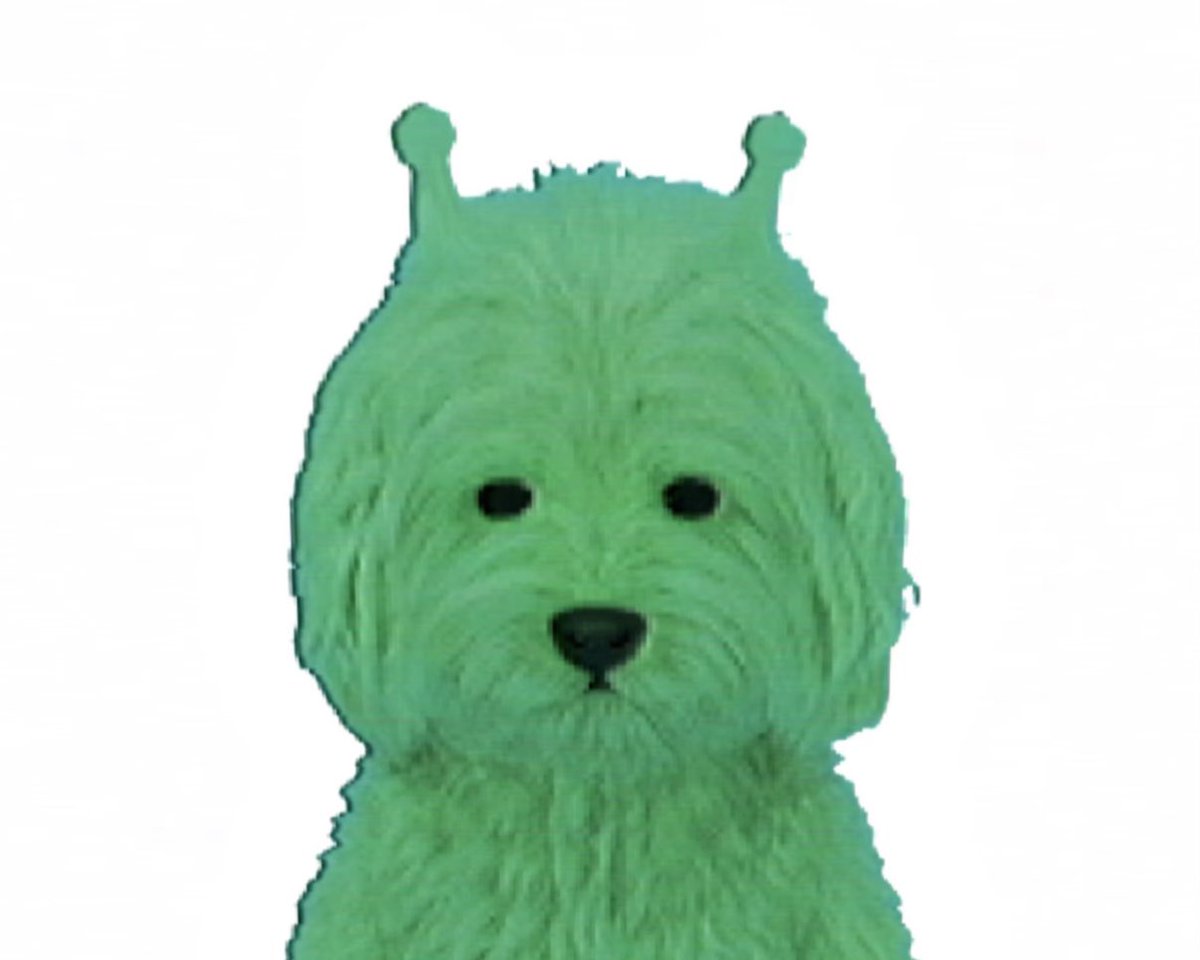 ْ犬 記録 (@inu_oa) on X