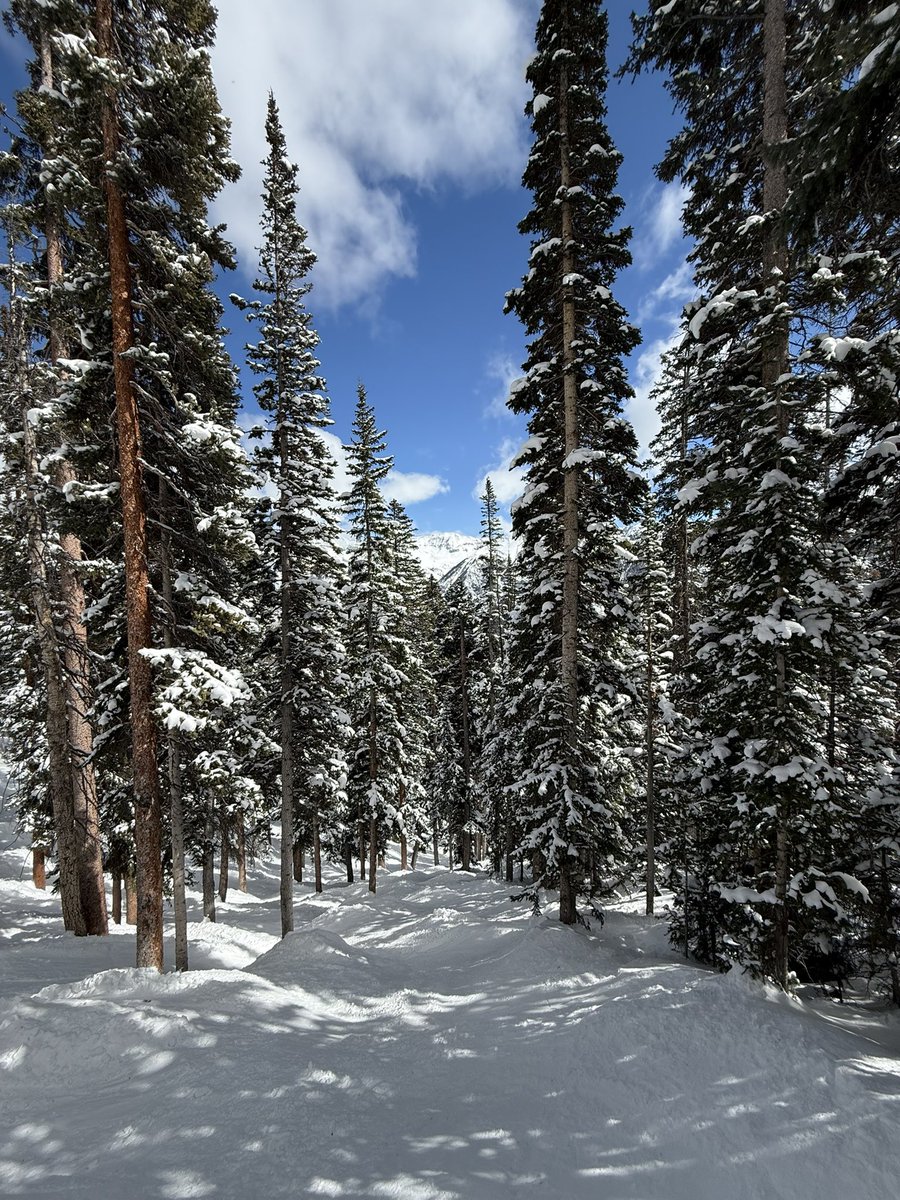 Nice day of skiing
