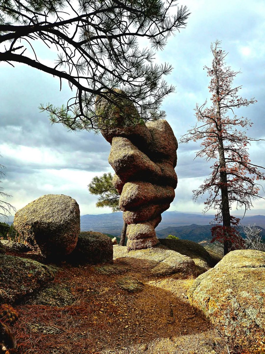 alexander harper (@alexanderh41691) on Twitter photo 