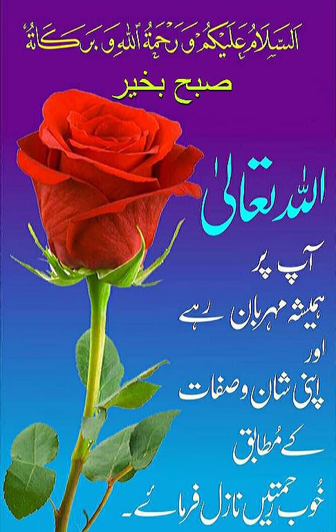 Malik iftikhar ahmad (@iftikhar76150) on Twitter photo 