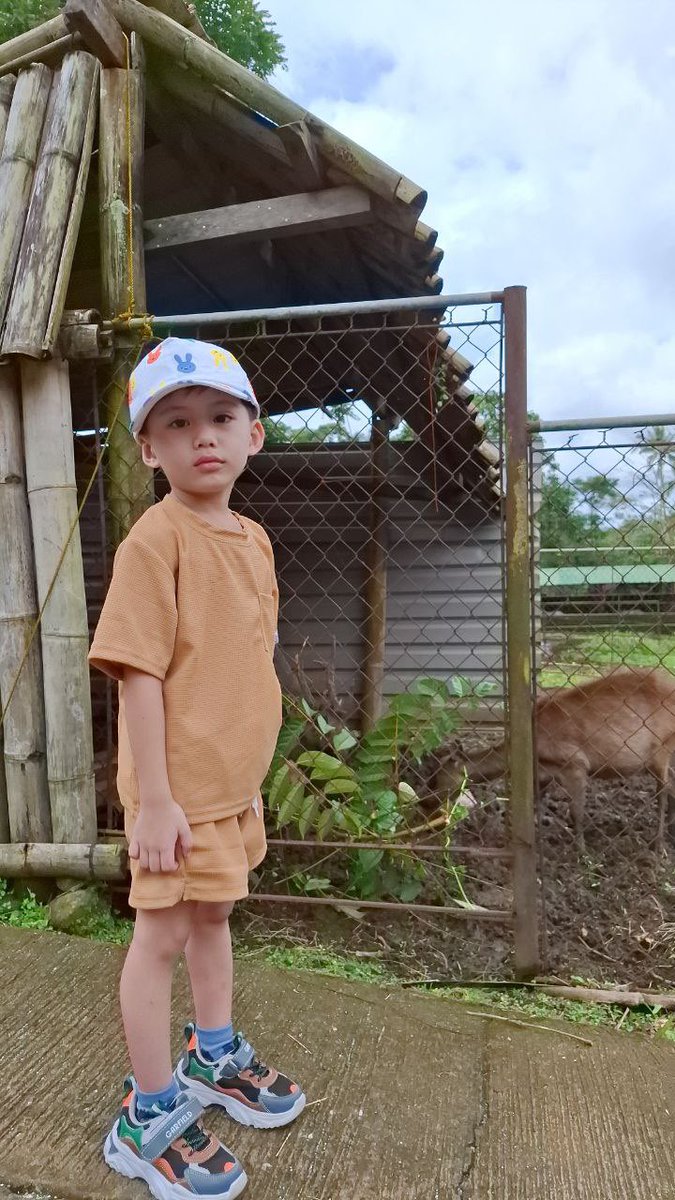 avmanlavi's tweet photo. Apa Wildlife😍 https://t.co/cAXBP6u6up