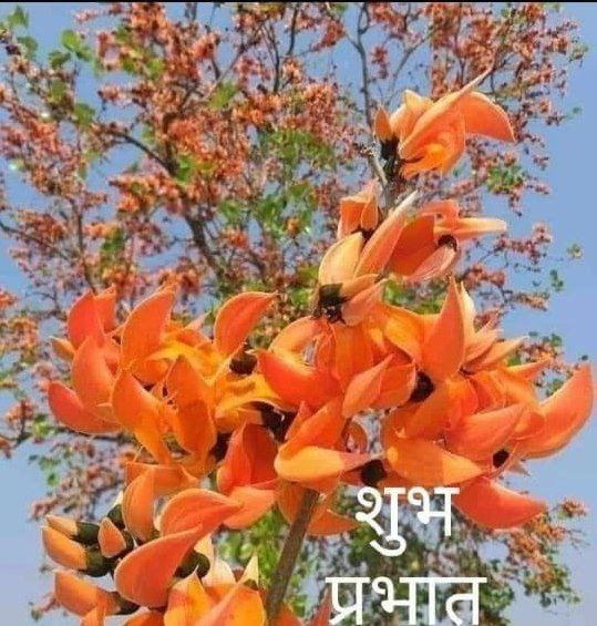 Chhaya Bhusari (@chhayabhusari) on Twitter photo ЁЯМЕ рдкреНрд░рднрд╛рдд рджрд░реНрд╢рди
рд╕реБрд╡рд┐рдЪрд╛рд░ - "рд╣рдорд╛рд░реЗ рдпрд╣рд╛рдБ рдорд╣рд╛рди рдкреБрд░реВрд╖реЛрдВ рдХрд╛ рдмрд╣реБрдд рдЕрдзрд┐рдХ рдЖрджрд░-рд╕рдореНрдорд╛рди рдХрд┐рдпрд╛ рдЬрд╛рддрд╛ рд╣реИ, рдпрд╣рд╛рдБ рддрдХ рдХрд┐ рдЙрдирдХреЛ рджреЗрд╡рддрд╛ рдорд╛рдирдХрд░ рдкреВрдЬрд╛ рднреА рдЬрд╛рддрд╛ рд╣реИ, рдкрд░ рдЬрд┐рди рд╕рджрдЧреБрдгреЛрдВ рдХреЗ рдХрд╛рд░рдг рд╡реЗ рдЗрддрдиреЗ рдорд╣рд╛рди рд╣реЛ рд╕рдХреЗ рдЙрдирдХрд╛ рдЕрдиреБрдХрд░рдг рдХрд░рдиреЗ рдХрд╛ рдкреНрд░рдпрддреНрди рдирд╣реАрдВ рдХрд┐рдпрд╛ рдЬрд╛рддрд╛ред"
"рд╡рд┐рдЪрд╛рд░ рдХреНрд░рд╛рдВрддрд┐ рдЕрднрд┐рдпрд╛рди"
рд╣реЛрд▓реА рдХреА рд╣рд╛рд░реНрджрд┐рдХ рд╢реБрднрдХрд╛рдордирд╛рдПрдВ ЁЯЩПЁЯТР ЁЯМЕ рдкреНрд░рднрд╛рдд рджрд░реНрд╢рди
рд╕реБрд╡рд┐рдЪрд╛рд░ - "рд╣рдорд╛рд░реЗ рдпрд╣рд╛рдБ рдорд╣рд╛рди рдкреБрд░реВрд╖реЛрдВ рдХрд╛ рдмрд╣реБрдд рдЕрдзрд┐рдХ рдЖрджрд░-рд╕рдореНрдорд╛рди рдХрд┐рдпрд╛ рдЬрд╛рддрд╛ рд╣реИ, рдпрд╣рд╛рдБ рддрдХ рдХрд┐ рдЙрдирдХреЛ рджреЗрд╡рддрд╛ рдорд╛рдирдХрд░ рдкреВрдЬрд╛ рднреА рдЬрд╛рддрд╛ рд╣реИ, рдкрд░ рдЬрд┐рди рд╕рджрдЧреБрдгреЛрдВ рдХреЗ рдХрд╛рд░рдг рд╡реЗ рдЗрддрдиреЗ рдорд╣рд╛рди рд╣реЛ рд╕рдХреЗ рдЙрдирдХрд╛ рдЕрдиреБрдХрд░рдг рдХрд░рдиреЗ рдХрд╛ рдкреНрд░рдпрддреНрди рдирд╣реАрдВ рдХрд┐рдпрд╛ рдЬрд╛рддрд╛ред"
"рд╡рд┐рдЪрд╛рд░ рдХреНрд░рд╛рдВрддрд┐ рдЕрднрд┐рдпрд╛рди"
рд╣реЛрд▓реА рдХреА рд╣рд╛рд░реНрджрд┐рдХ рд╢реБрднрдХрд╛рдордирд╛рдПрдВ ЁЯЩПЁЯТР