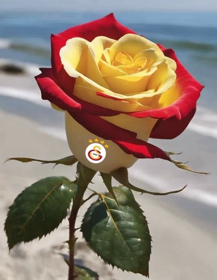 Günaydın hayırlı sabahlar