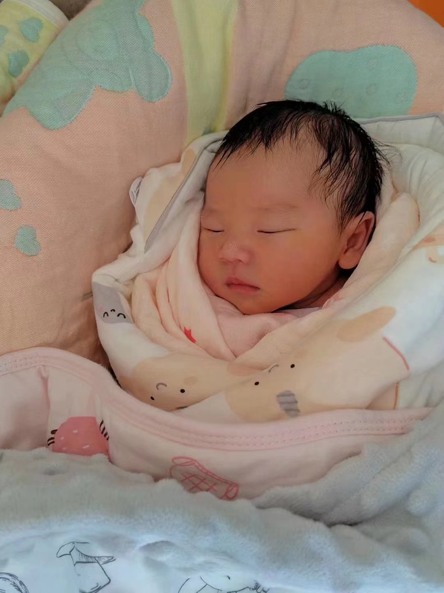 imamridaono's tweet photo. 医学发展的伟大进程
电话：18620846111 【官方微信】Xinggui-IVF
#代孕 #试管 #三代试管 #同性生育 #选性别 #LGBT生子 #单身生子 
一站式代孕服务，高质量服务，包成功，无风险 
十五年专业团队，国内直营实验室
选性别，龙凤胎，双胞胎，捐卵捐精 https://t.co/nWQRXcgWwy