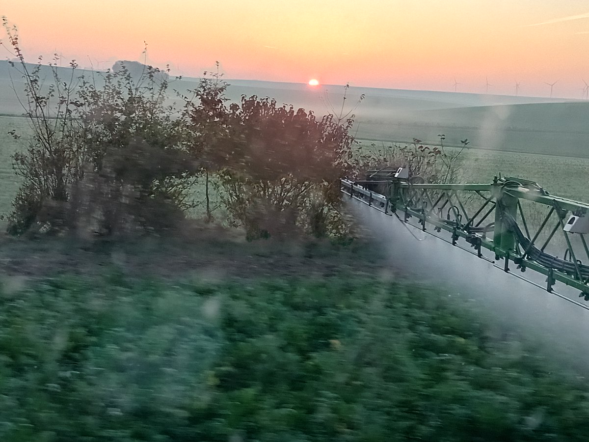 Bonjour les #Twittos, avant de reprendre les semis de <a href="/_MissBetter/">Miss Better</a> , je voulais vous faire un petit #Thread pour vous expliquer POURQUOI (et pour QUI) j'ai mené ce combat médiatique et politique pour le maintien du #glyphosate dans notre boite à outils : 
1/...