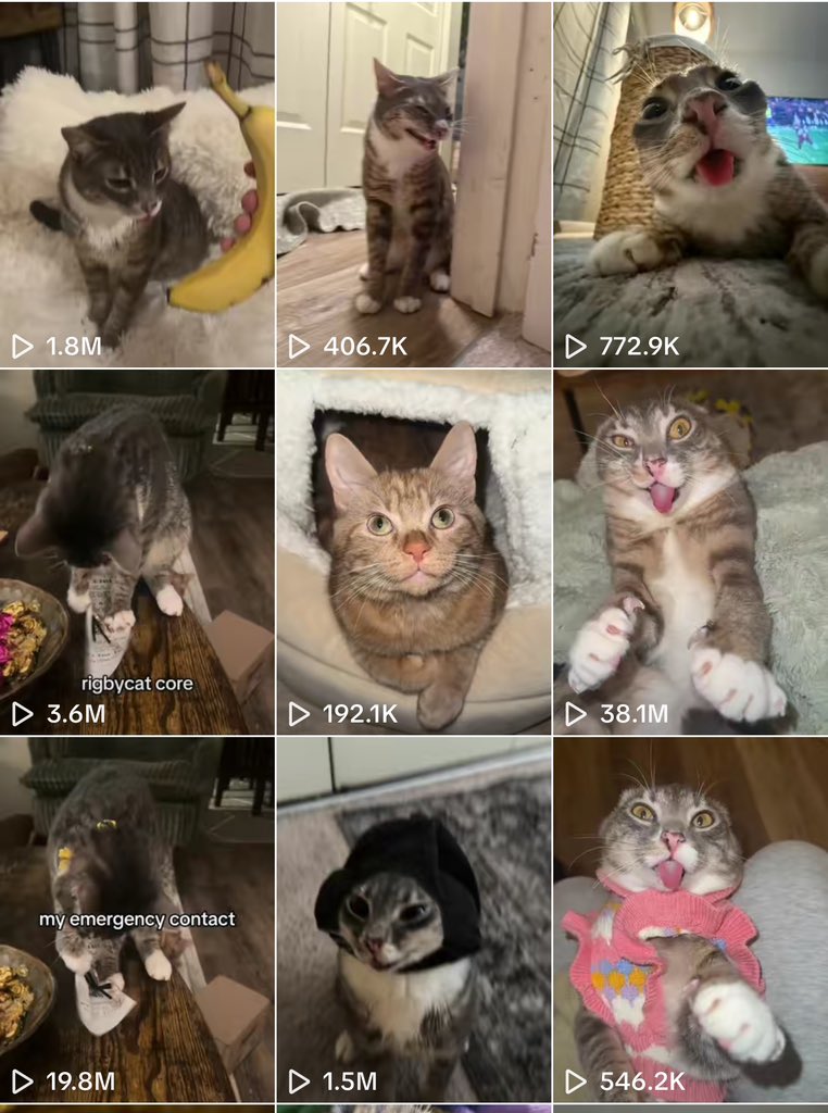 W0LF0FCRYPT0's tweet image. Will you buy this at a $200K marketcap?