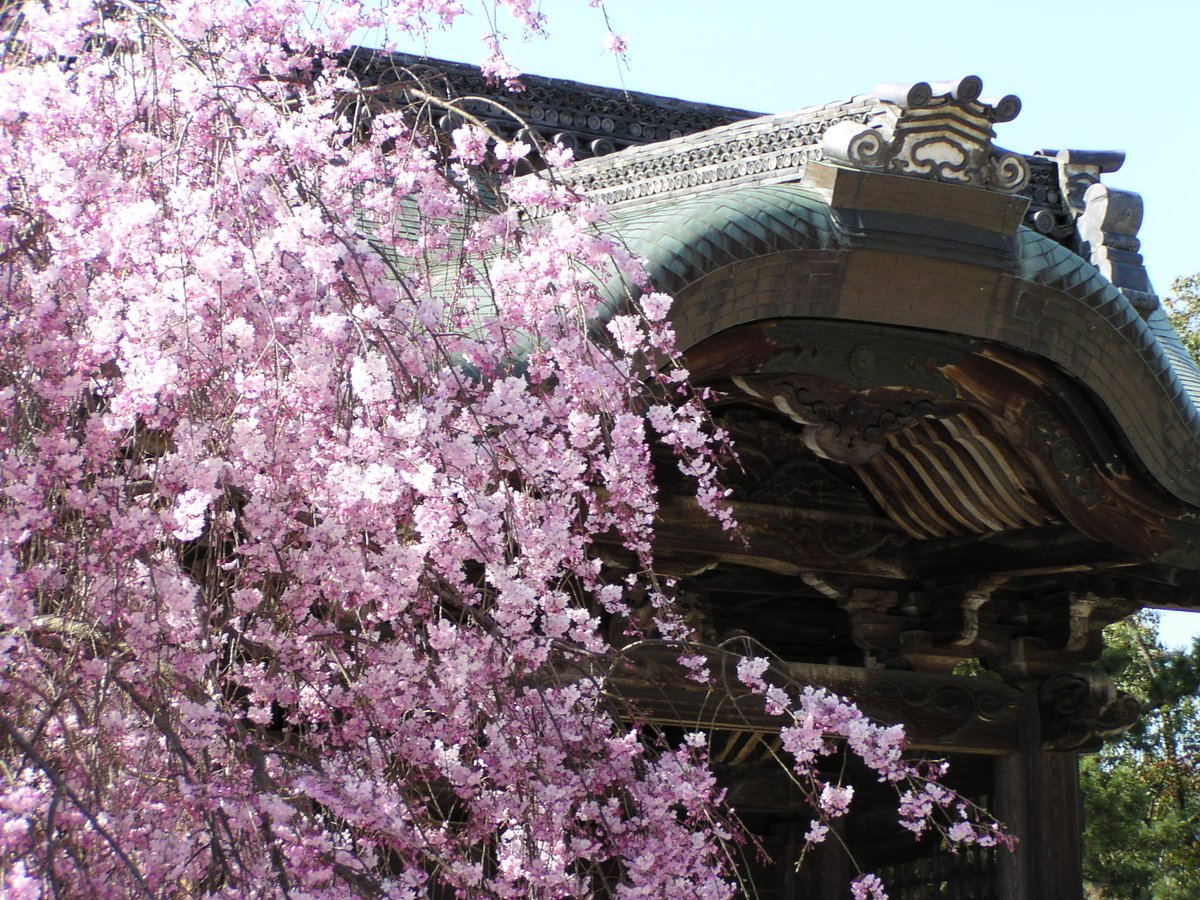開創1150年記念 特別展「旧嵯峨御所 大覚寺 －百花繚乱 御所ゆかりの