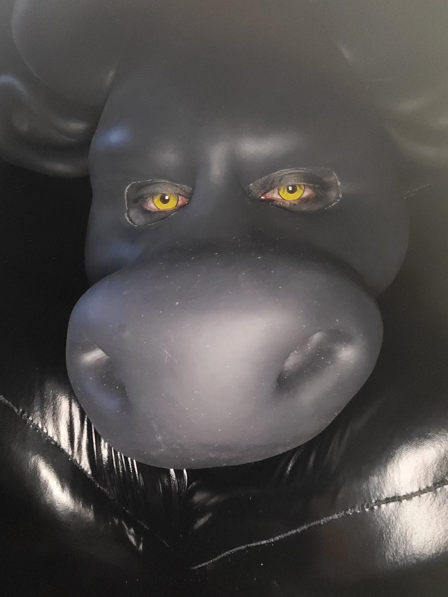 Lets have a close up of these eyes and pecs

<a href="/Smitizen/">SMITIZEN</a> #silcome #muscles #cow #kink #smitizen #fetish #furry #musclesuit