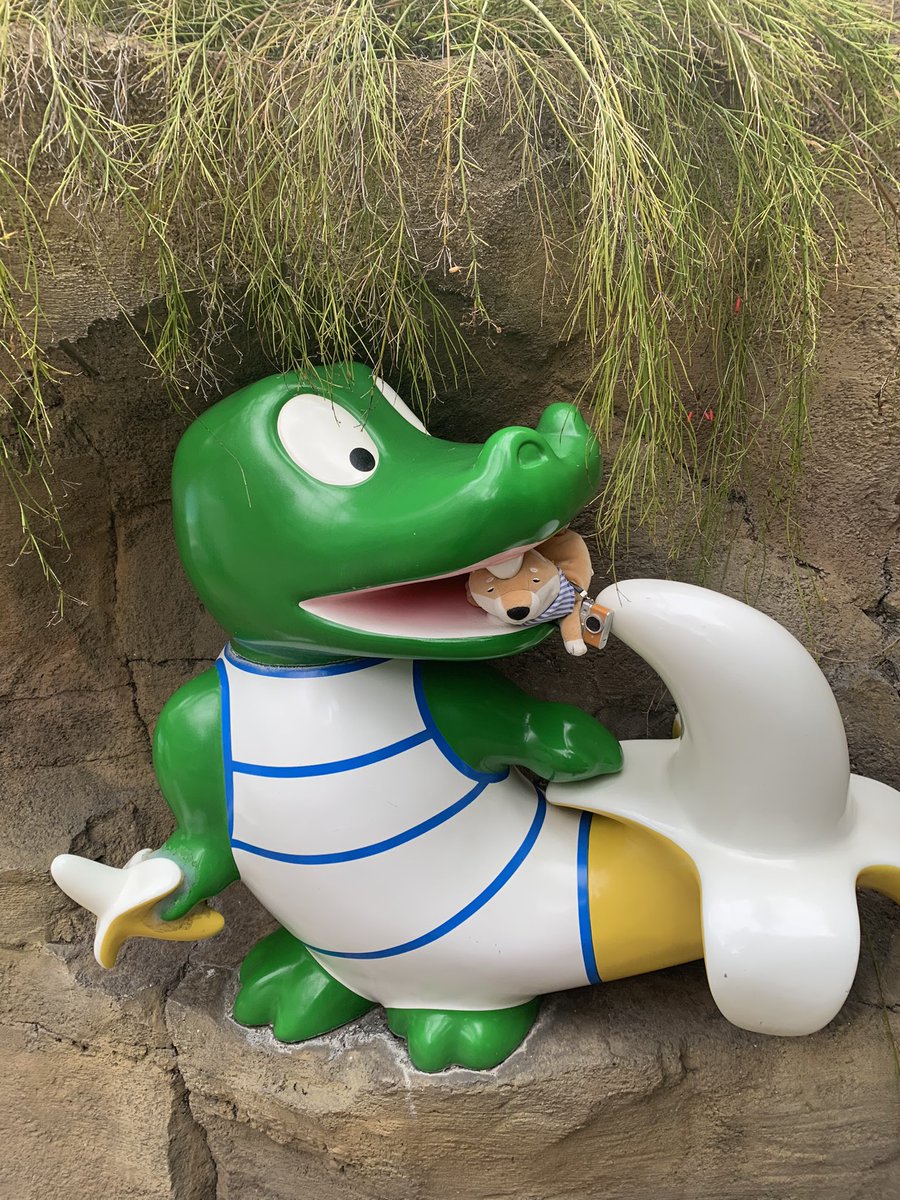 toshi_pon's tweet photo. 最強のワニさん見つけた。
#最強ワニ
#バナナワニ園 https://t.co/en6vfmAOKq