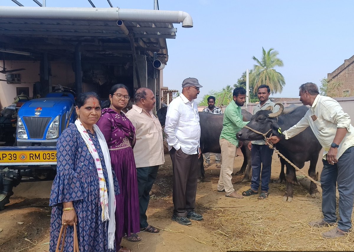 dahontr33217's tweet photo. #fmdcp
#nadcp
15-3-2025;
Monitoring of FMDCP and BCP Vaccination at Chandragudem Village of  Mylavaram mandal. https://t.co/3jU0OpjzWB