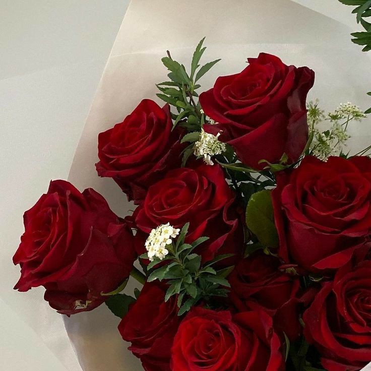 OnceU42Time's tweet image. 📍 Pin ชั่วคราว
สวัสดีค่ะ! ทักทายทุกคนที่แวะเวียนเข้ามานะคะ สิ่งนี้จะเป็นพินชั่วคราวไว้เผื่อทำความรู้จักกันคร่าว ๆ (เดี๋ยวแอคโล่งเกิน) หายขี้เกียจเดี๋ยวมาทำดี ๆ

กาลค่ะ เป็นไรท์เตอร์ วาดรูปนานครั้ง ชิปเปอร์คาซึสคารา เซียวเท่อ เมนหนุ่มลม คาซึฮะ Nice to meet you all naa ค้าบ