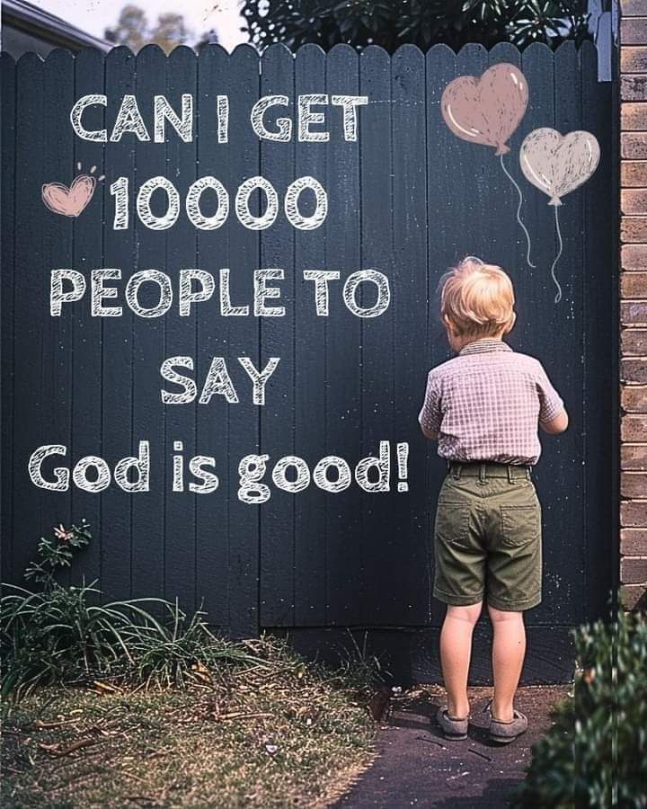 Holy Bible tweet media