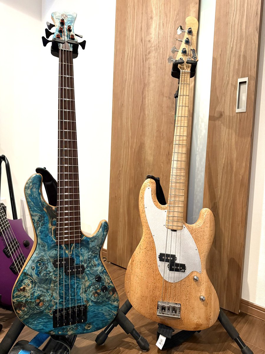 yokokugami's tweet image. アダモビッチのPB5と一緒に。どちらも素晴らしい楽器です。
#Bacci 
#adamovic