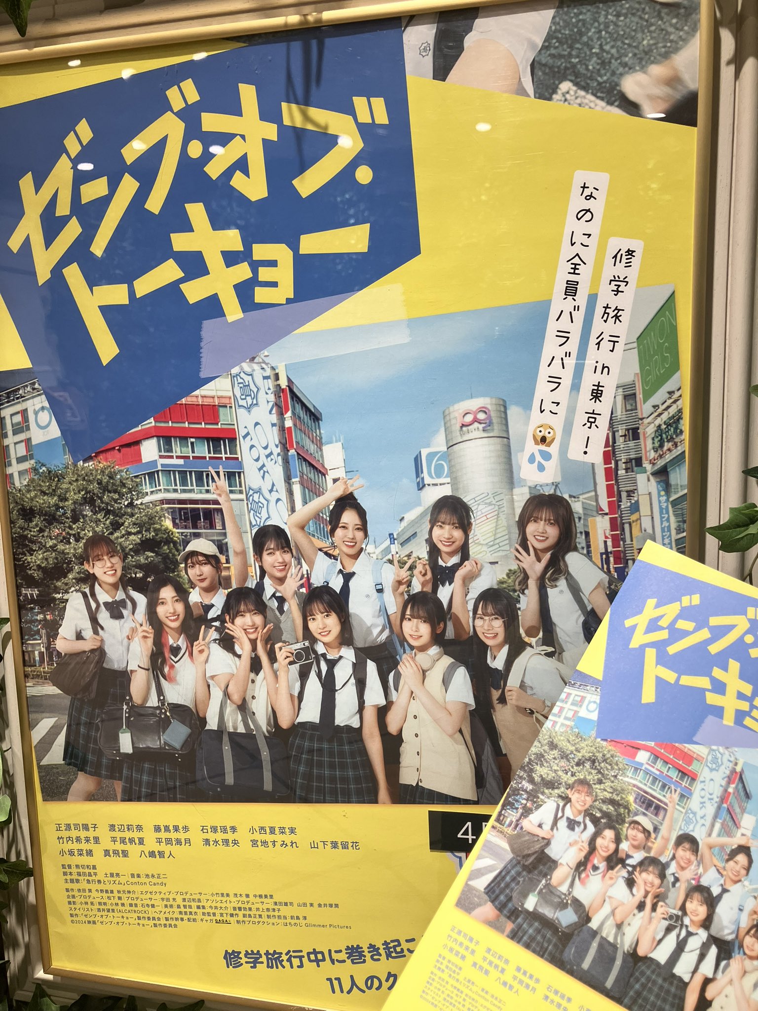 ゼンブ・オブ・トーキョー ゼンブオブトーキョー 日向坂46 未