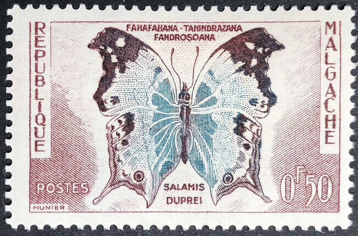 One more butterfly to finish the week… this #EngravedBeauty is a Mother-of-Pearl Butterfly from Madagascar as featured on this stamp from 1960. I just wish the USA had more engraved stamps featuring butterflies.