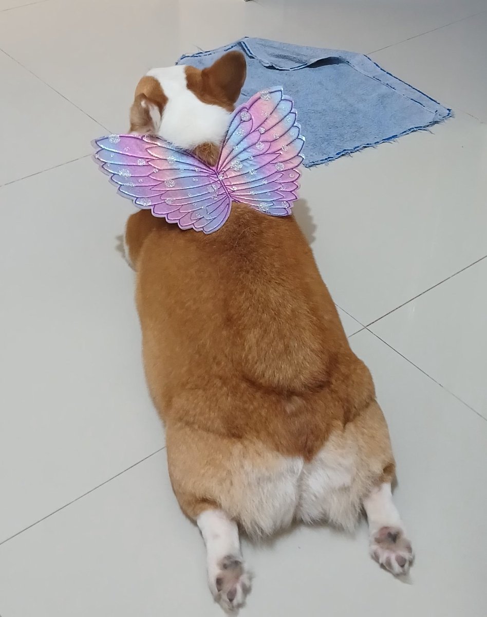 taeggif's tweet photo. masa takut https://t.co/3qOec1ZBpW
