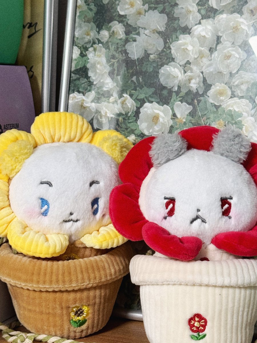 난 그대 작은 창가에 화분이 될게요 ,,,