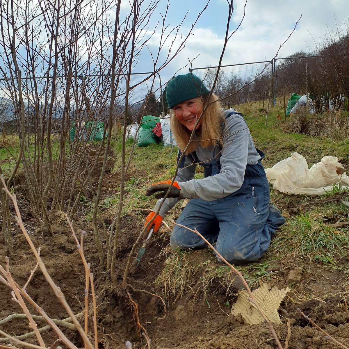 Forus Tree @forustree.bsky.social tweet media