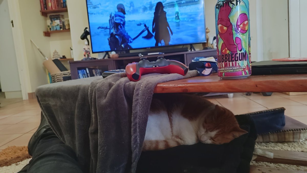 Ulturism's tweet image. I call this one "Cats n Slayer"
See how many gaming Easter eggs you can find in this picture.
Also, there is a picture of the cat in this picture. My house is weird.
@Slayerdrink