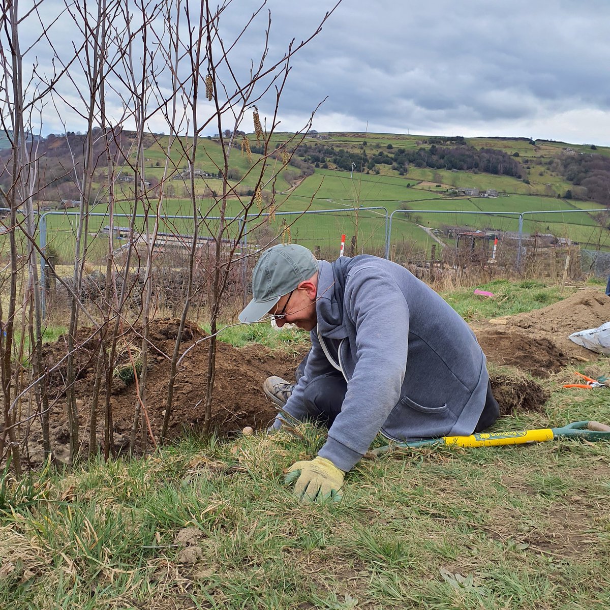 Forus Tree @forustree.bsky.social tweet media