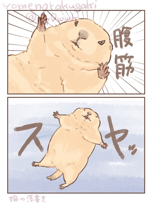 #プレーリードッグ

腹筋 