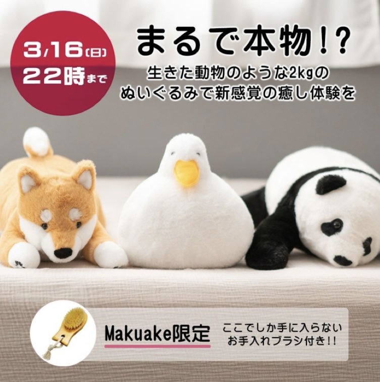 makuake.com/project/omonui

Makuakeでしか手に入らないお手入れブラシ付き🐼‼️
生きた動物のような2kgのぬいぐるみ『omonui』クラウドファンディングは3/16(日)22時まで‼️‼️‼️