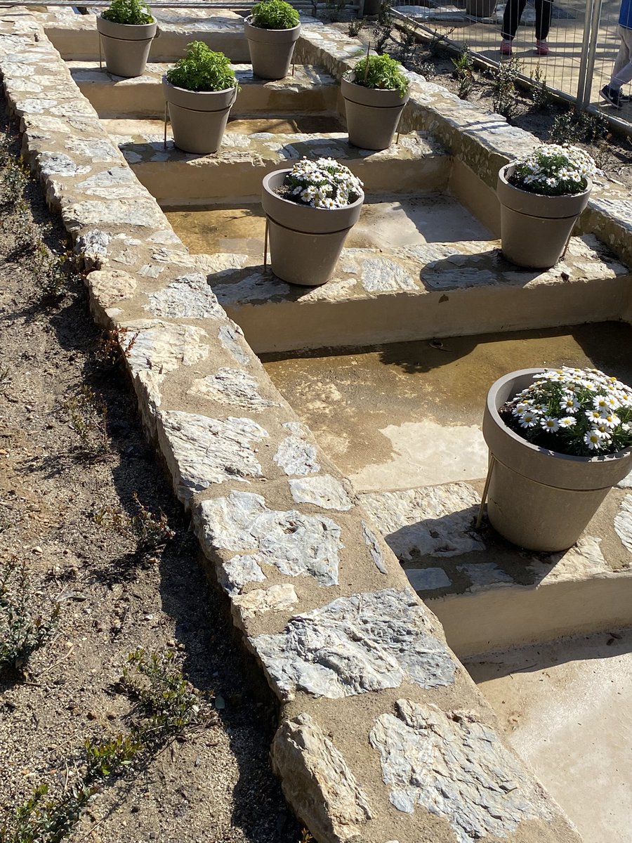 Arnau Vives i Juan 🇪🇺 tweet media