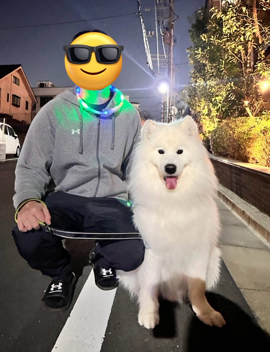 ゲーミングパパとサモエド 通りすがりの方に素敵ですねと言って