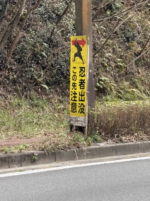 旅!!!! 