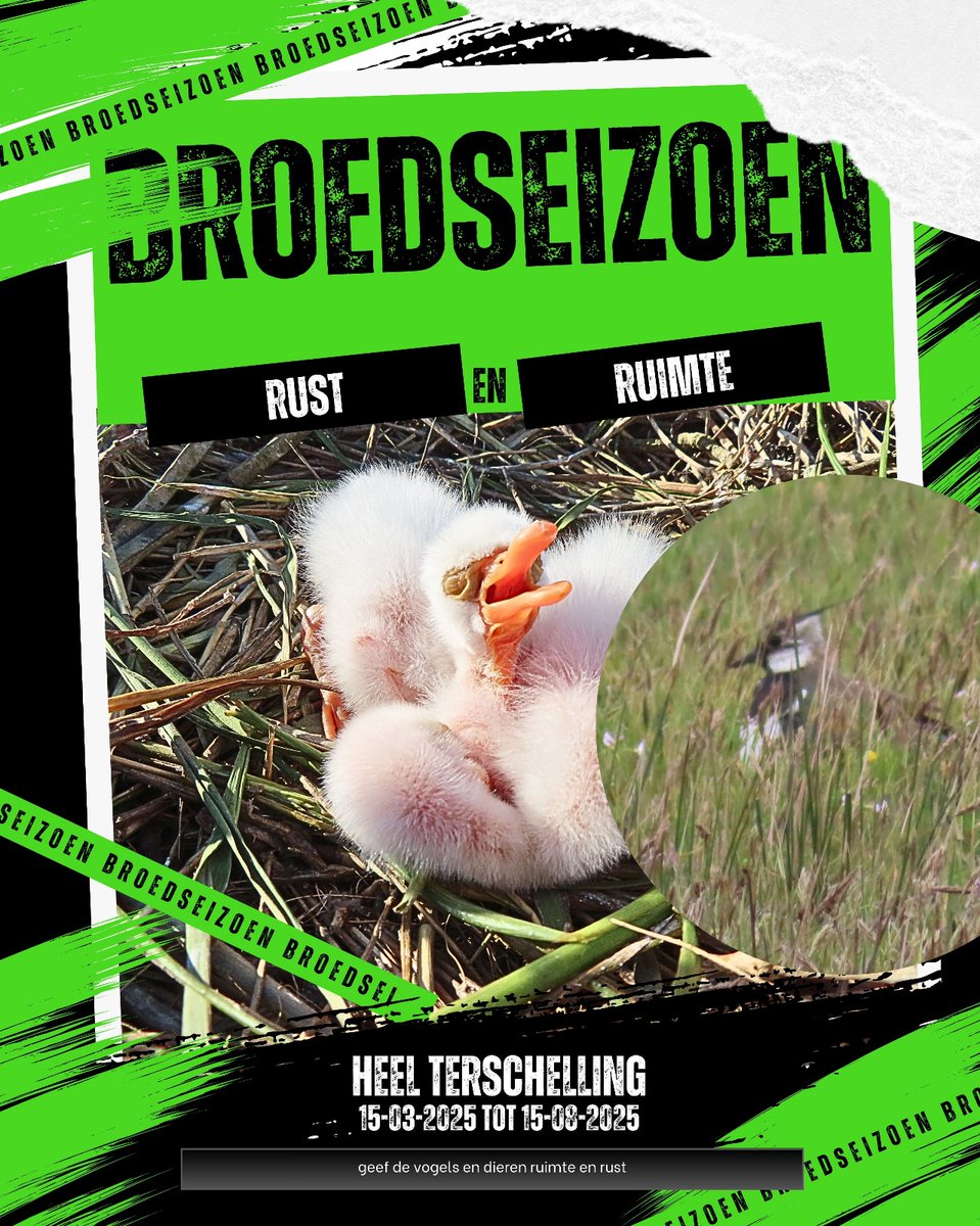 Het #broedseizoen is begonnen! En dat seizoen is niet alleen voor vogels. Maar voor alle beestjes en plantjes welke je op je wandeling kan tegen komen.

Hou je ogen open en denk goed na.

Samen zorgen we ervoor dat de natuur een goede #kraamtijd heeft!