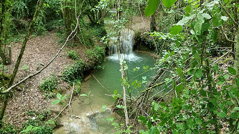 ¡Descubre la joya oculta de Álava! 💎 La Ruta del Agua en Berganzo te espera con cascadas mágicas y paisajes de ensueño. ¡Naturaleza en estado puro! 💦🌿 #RutaDelAgua #Berganzo #Álava
#Senderismo
#NaturalezaViva
#TurismoRural
#Euskadi
#Viajes
#Paisajes
#EspañaNatural
