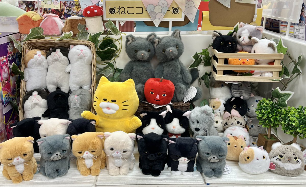 W7ohP9JiRV81384's tweet image. ねこコーナーに新しいぬいぐるみが入荷しました🐾
個性的なネコちゃんが大集合🐱是非お立ち寄りくださいませ！
#そごう横浜店おもちゃ売場　#内藤デザイン研究所　#ぼうねこ　#ねこ　#ぬいぐるみ　#ぬい撮り