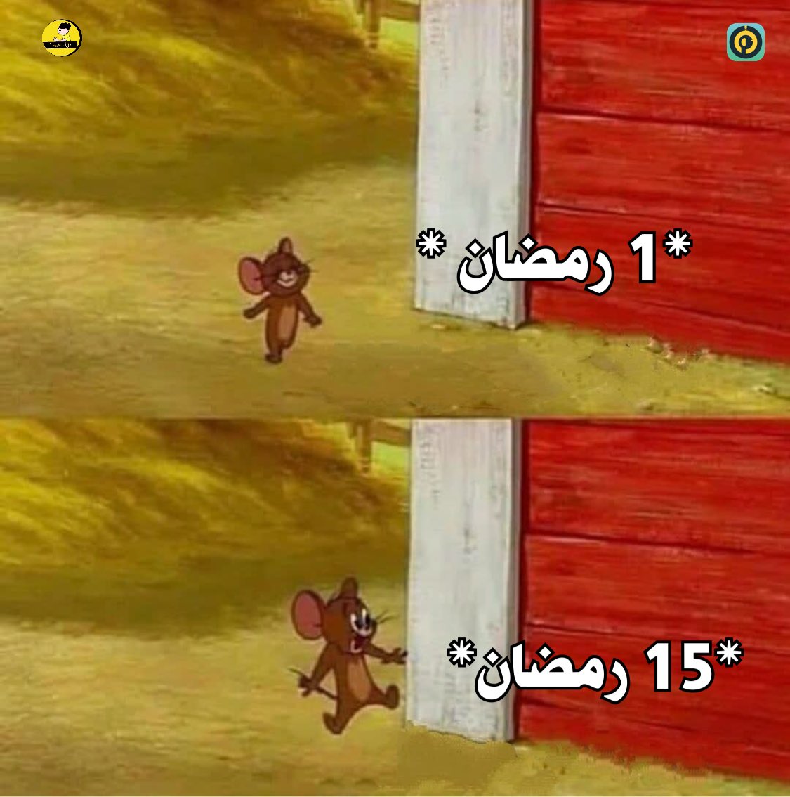 هل انت عبيط! |كود نايس ون Mo7 (@egyptianmemees) on Twitter photo 