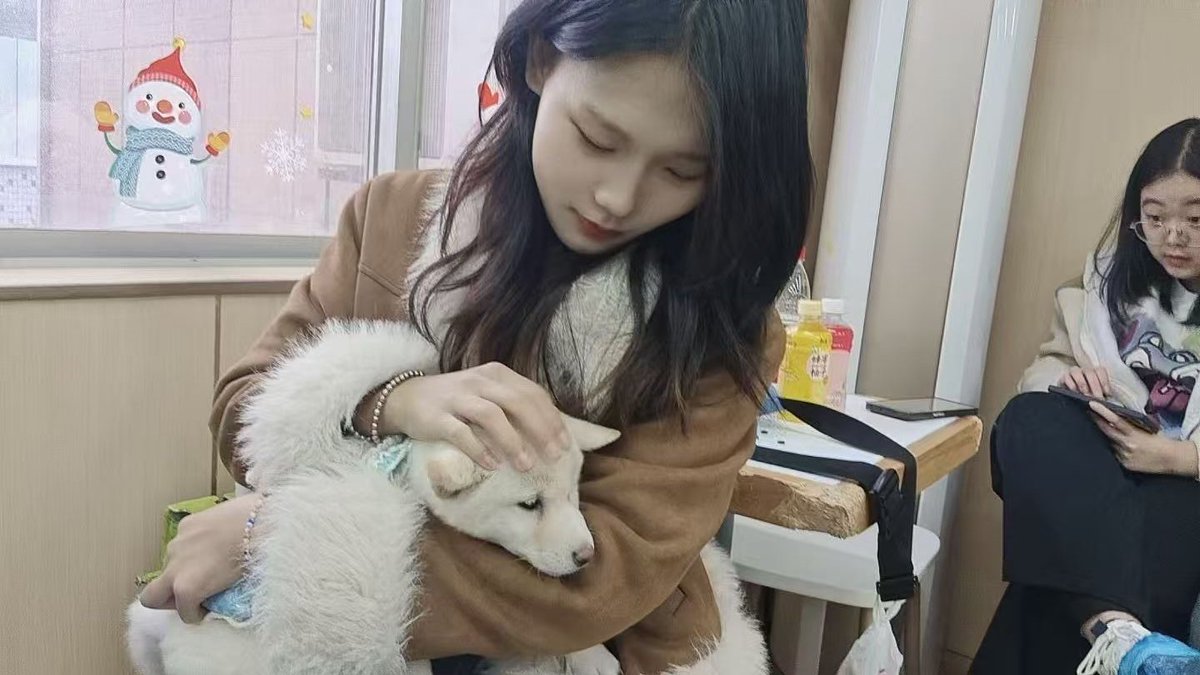 探古寻芳 tweet media