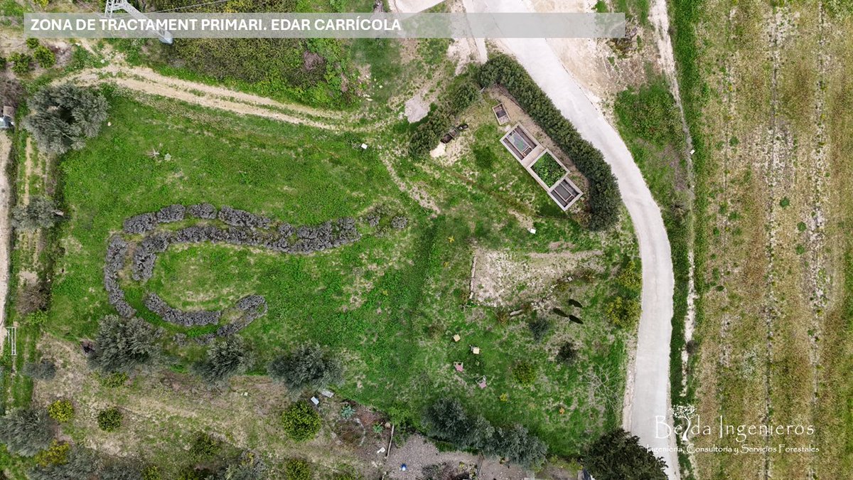 David Belda Miró tweet media