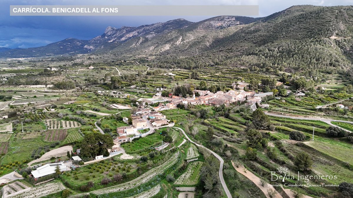 David Belda Miró tweet media