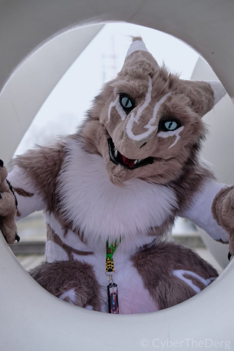 Happy weekend to all fluffys out there 

📸 <a href="/CyberTheDerg/">Cyber</a> 
🪡 <a href="/Shiryuakai/">Shiryudesign</a>