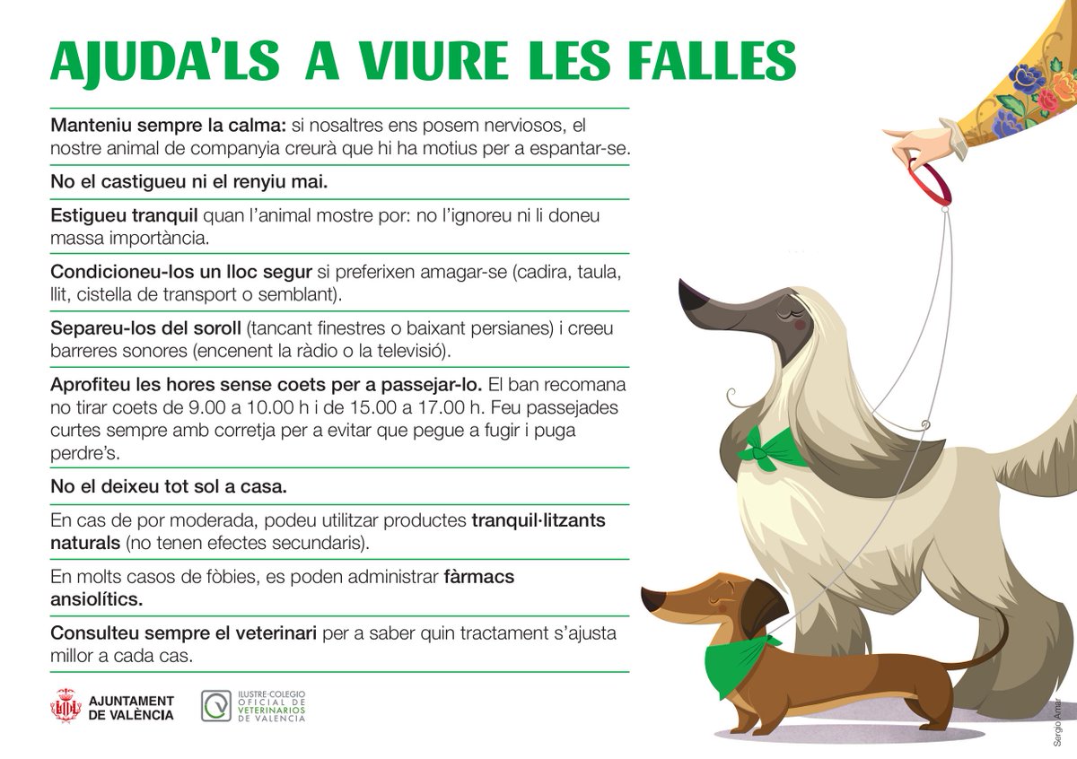 Ajuntament València tweet media