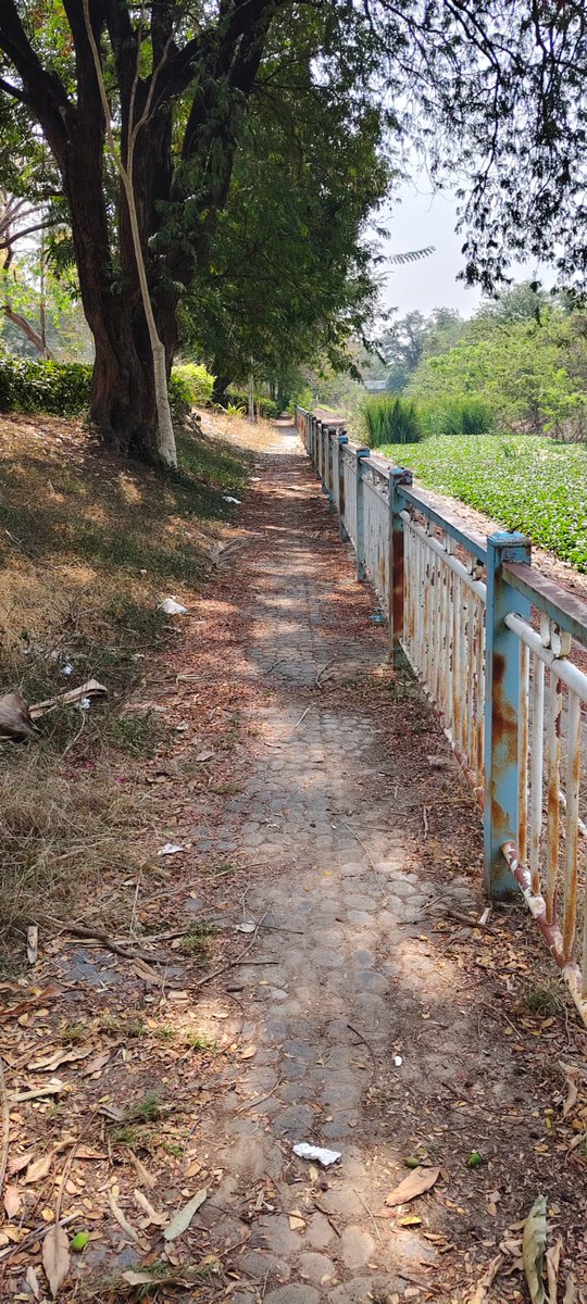 ບໍ່ໄດ້ໄປຍ່າງອອກກຳລັງກາຍເເຖວນີ້ດົນໄປເຊົ້າມຶ້ນີ້ຮູ້ສຶກວ່າສົກກະປົກຫລາຍກວ່າເກົ່າແຕ່ຍັງມີສະເໜ່ໃນການໄປເອົ້າດໍຢູ່