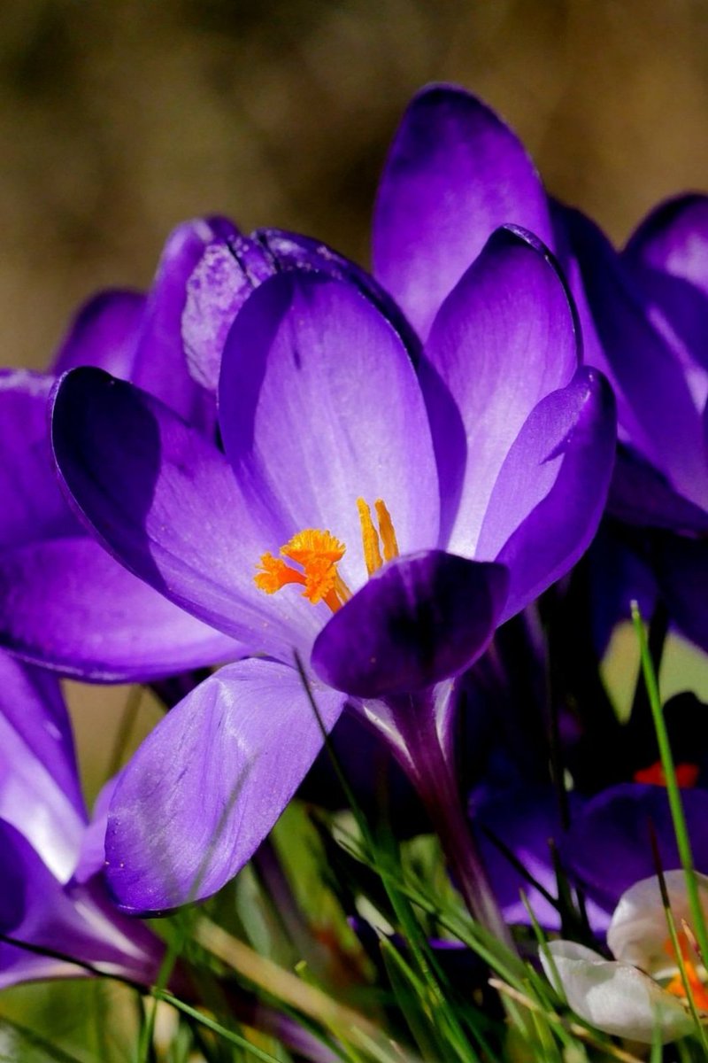 Guten Morgen zusammen 🥰🥳☕️😁
Samstag. Packen wir es an.
Starten wir mit Fleischkäsebrötchen in den Tag 🥰🥰
Wettertechnisch scheint heute nicht viel zu passieren, aber der Teufel ist bekanntlich ein Eichhörnchen. 😈🤣
Habt einen tollen Start ins Wochenende!!!