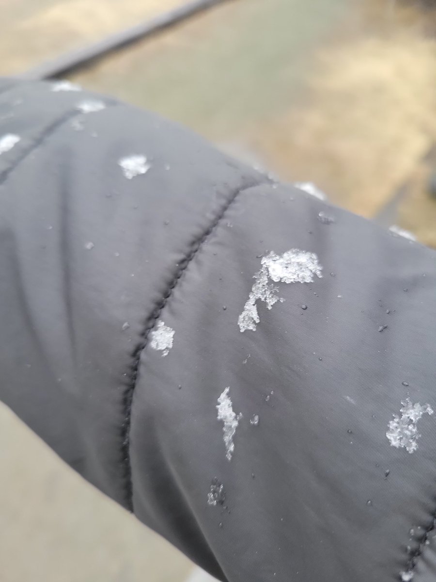 picafujisaiko's tweet photo. 今年最後の雪かな～

#pica富士西湖 #picaリゾート #西湖 #カヌー #キャンプ #アウトドア
 #キャンプ道具 #キャンプギア 
#焚き火 #外遊び #ソロキャンプ
 #ファミキャン #絶景 #camper  #canoe  #camping #outdoors #outdoor #outdoorsman #outdoorlife #outdoorstyle #diy #campgear #campstyle https://t.co/nDmcMUQtAf