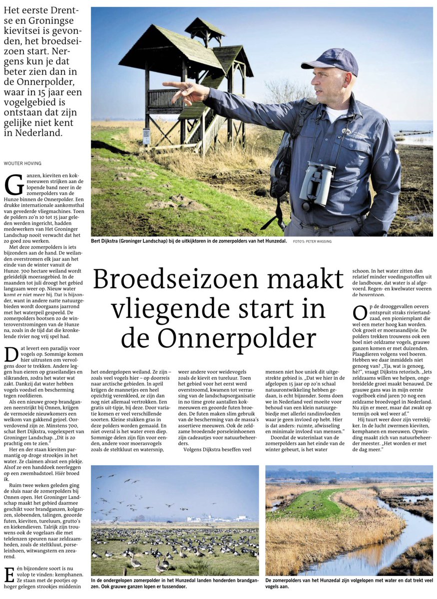 Leuk artikel in #DvhN waarin onze natuurbeheerder <a href="/BertDijkstra17/">Bert Dijkstra</a> vertelt over de vogelrijkdom van de zomerpolders in het Hunzedal.