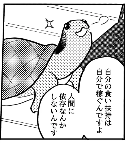 カメは、川暮らしの時は竜宮城からの給料を食料現物支給でもらっていて、少年の家暮らしになったら口座振り込みにして毎月生活費を入れている見上げたカメ。 