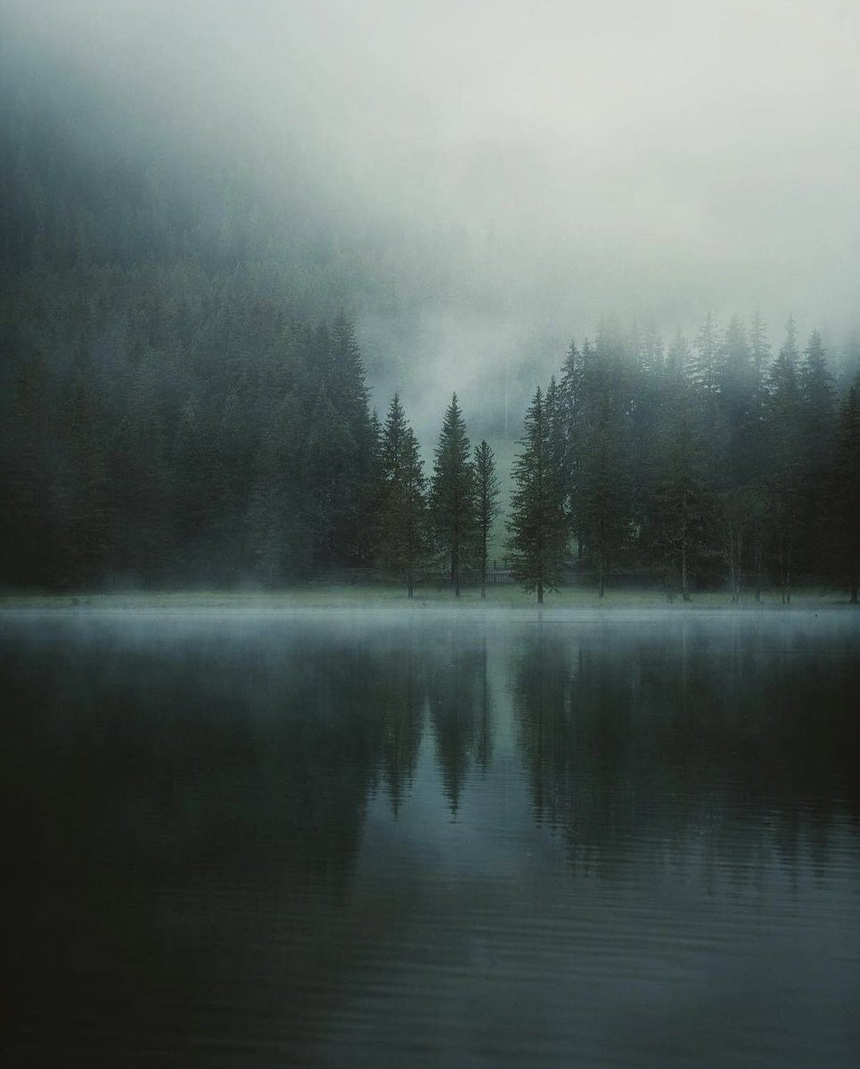 earthcurated's tweet image. — solace of nature 🍃