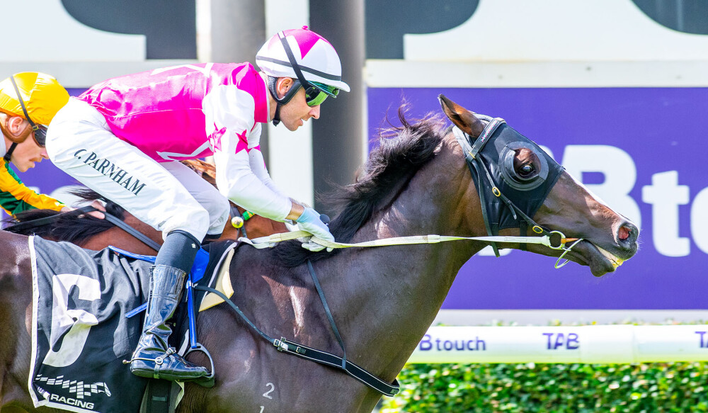 Fernie_Racing's tweet photo. While boss is away, the team at home keeps on kicking goals!
Keep Ita Mystery and Parnz record a back-to-back double for the yard on the Saturday stage ๐๐ป
Well done all!
#FernieRacing | ๐ธ: Western Racepix https://t.co/pLtN9p0Mqh