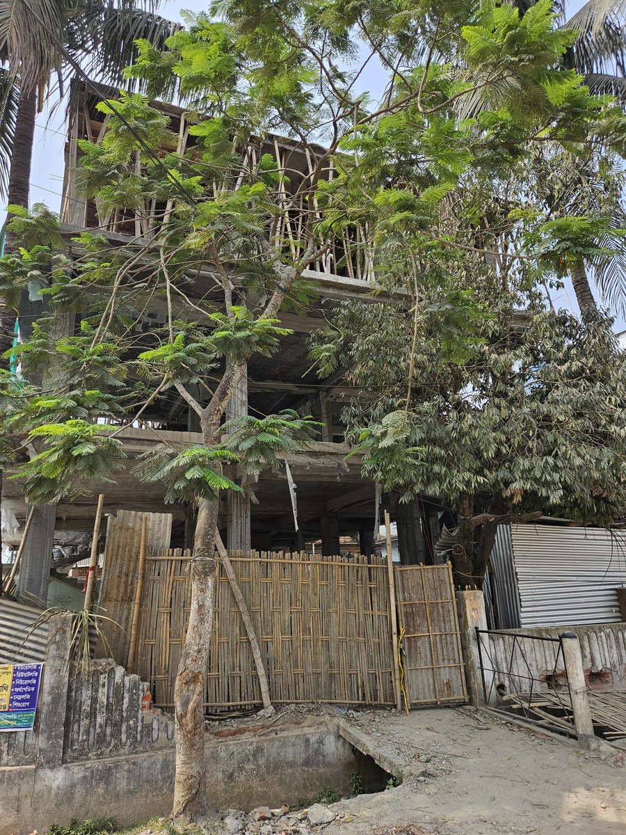 karannandi's tweet photo. An unsafe construction site at Ward No. 1, MG Street is putting lives at risk! The safety nets are torn &amp; ineffective, offering no protection to Neighbors or pedestrians. Debris can fall anytime! Urgent action is needed before an accident happen. @dcofficedhubri
@Dhubri_Police https://t.co/Vp7Nf3UM14