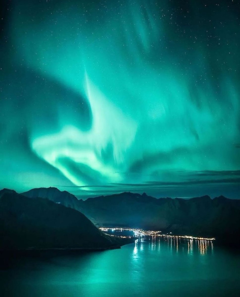 Arctic Nights ✨