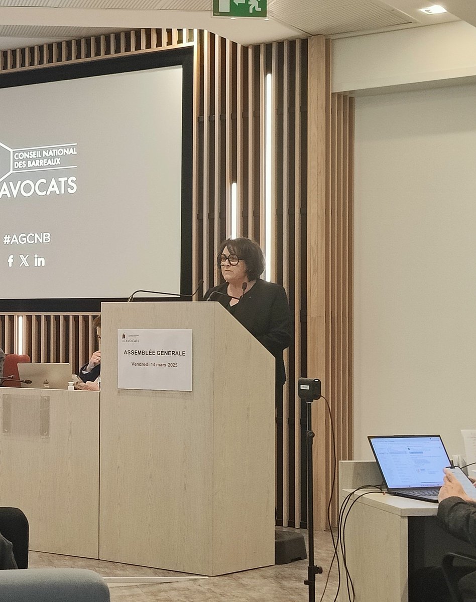 Avec <a href="/CGazzeri/">Catherine GAZZERI</a>, l'ABF a développé sa position sur le fonctionnement et la composition du CNB, grâce à sa vision stratégique sur la communication institutionnelle